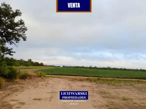 VENTA CAMPO AGRÍCOLA DE 100 HECTÁREAS | US$ 3.650/HA. | Las Breñas, Chaco.