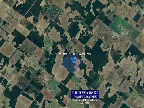 VENTA CAMPO AGRÍCOLA DE 100 HECTÁREAS | US$ 3.650/HA. | Las Breñas, Chaco.