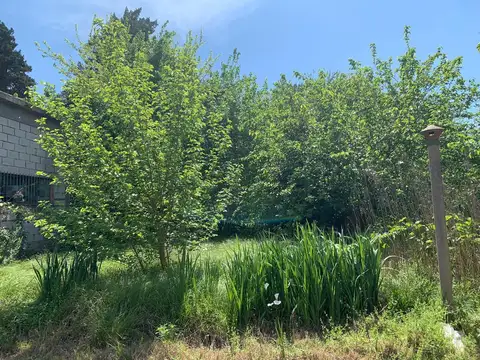 Local en Venta A Estrenar