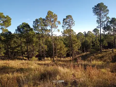Lote en venta- Santa Rosa de Calamuchita 