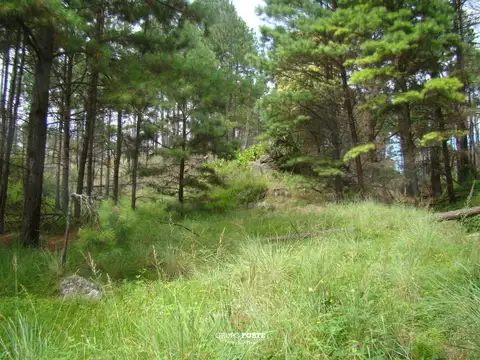 Lote en venta con escritura- Yacanto de Calamuchita