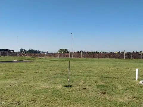 Lote San Felipe