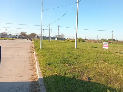Constitución entre A. Tessio y Chubut