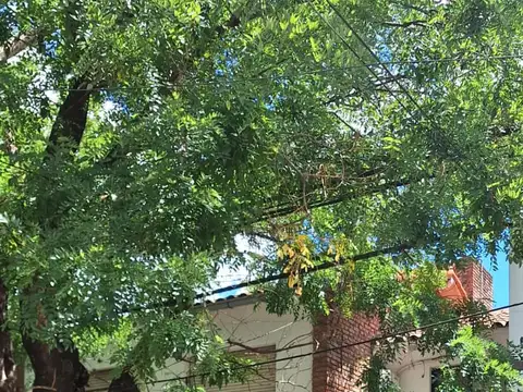 Casa en alquiler de 6 amb en Martinez - apto profesional
