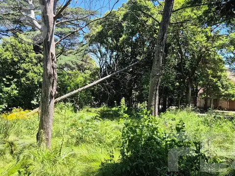 Terreno en Venta 26  mts Fondo