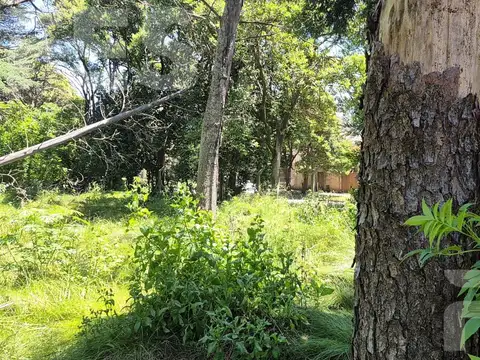 Terreno en Venta de 312,0 m2