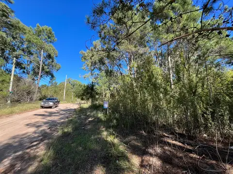 Terreno en Venta, FOT 6
