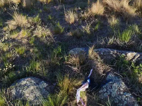 Venta de Lote, Villa Yacanto