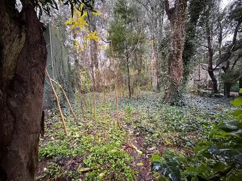 Boulevard Nuevo Bosque 300