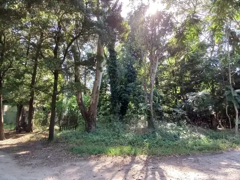 Boulevard Nuevo Bosque 300