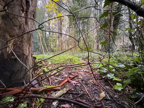 VENTA LOTE 450 M2 BOSQUE PERALTA RAMOS