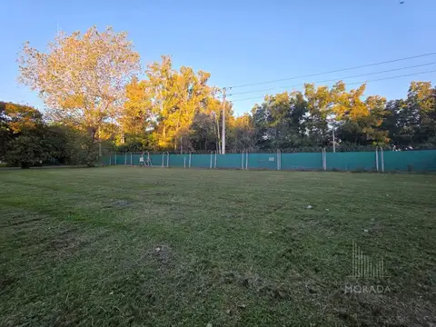 Pedro Nolasco Carrión  al 400