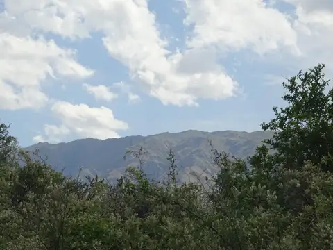 Terreno en Venta de 2500,0 m2