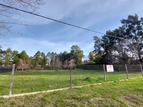 Punta Quebracho 8973