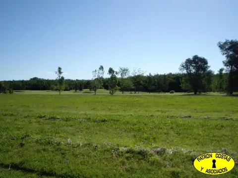 2760ML- LOTE EN VENTA EN LA COLINA, MUY BIEN UBICADO