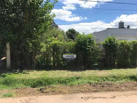 Terreno en Venta 42  mts Fondo