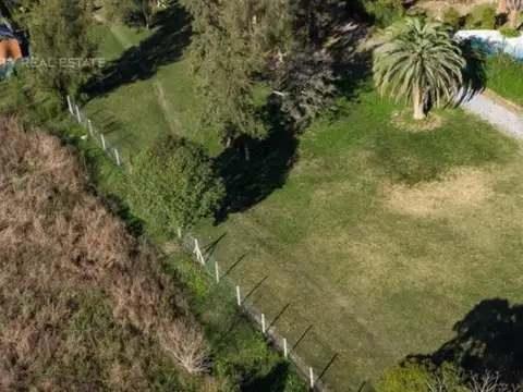 ignacio corsini al 800