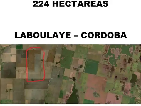Campo 100% agrícola (Laboulaye)