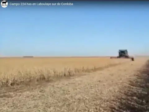 Zona Rural (Laboulaye)
