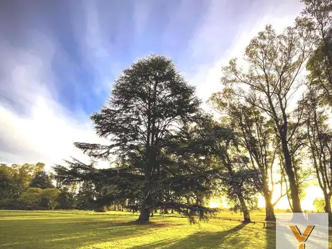 Terreno en Venta de 4650,0 m2