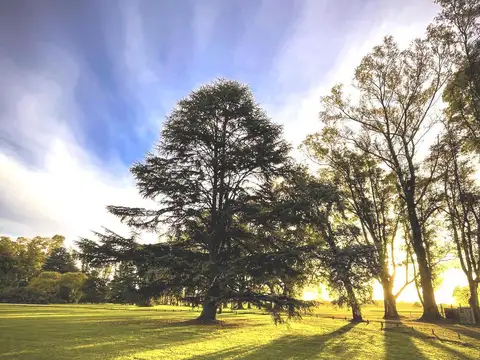 Terreno en Venta de 4650,0 m2