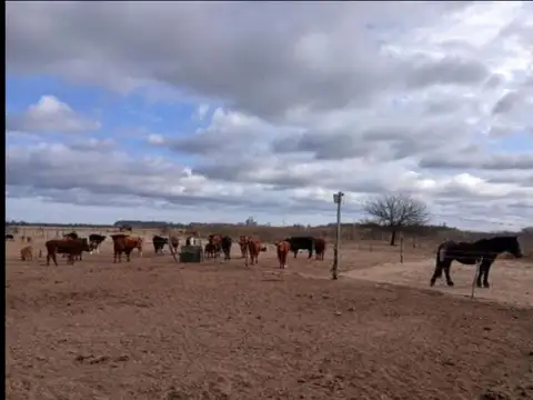 RUTA NACIONAL 7 VILLA MERCEDES , Piso No definido