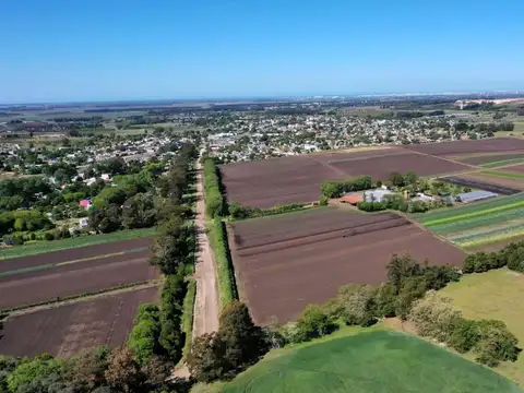 Venta de campo de 75 hectáreas - Ruta 88 Km 14,5 - Mar del Plata