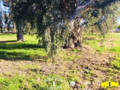 Terreno en Venta en La Loma  - Lujan, USD 36.000