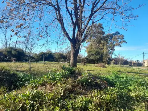 TERRENOS EN VENTA EN PERGAMINO