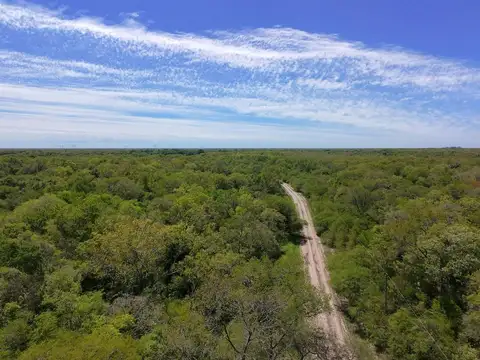 Campo en Venta de 51  ha