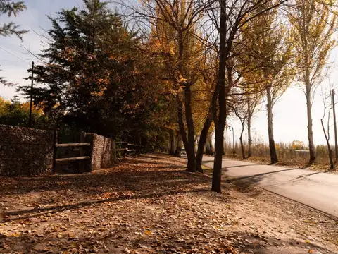 Terreno en Venta en Colonia las Rosas, USD 290.000