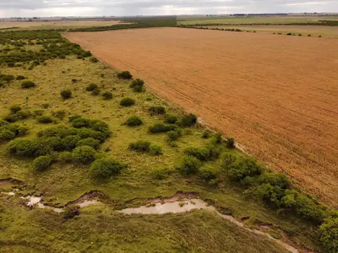 Campo en Venta de 230  ha