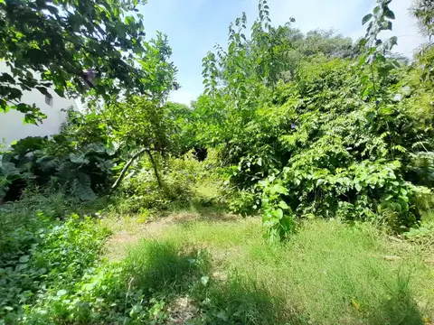 Terreno en el pueblo de Torres.