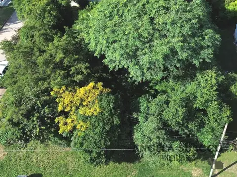 Terreno en el pueblo de Torres.