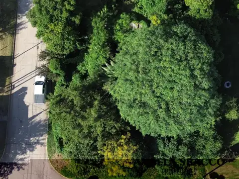 Concepción Arenal, Torres.