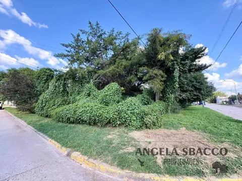 Concepción Arenal, Torres.