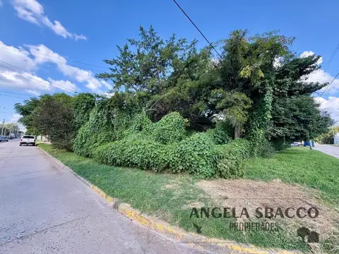 Terreno en el pueblo de Torres.