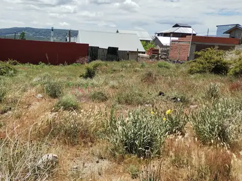 Lago Nuevo 100