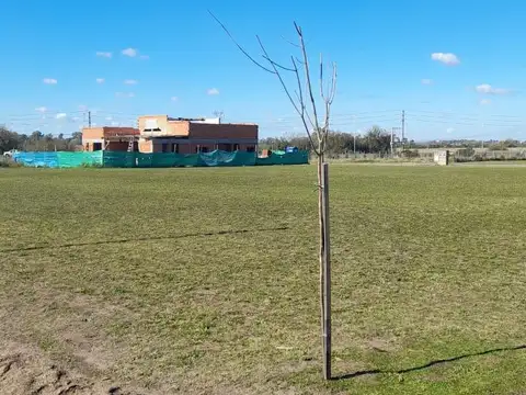 Terreno en Venta de 600,0 m2