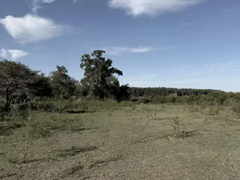 Terreno en Colón