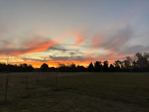 Terreno en Venta de 13727,0 m2