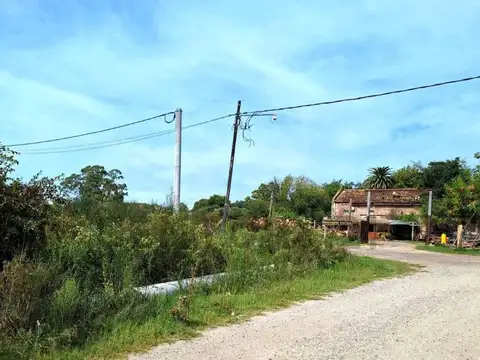 Terreno en Venta 24,79  mts Fondo