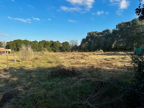 Idiart entre Saigos y Marconato