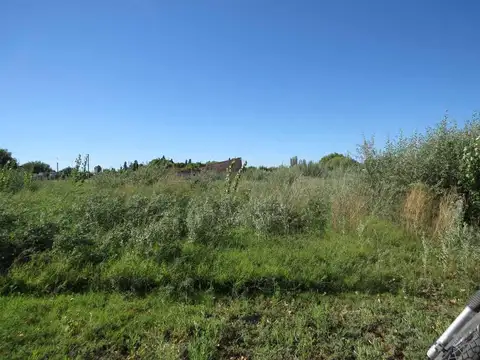 Terreno en Venta en Cervantes, USD 5.000