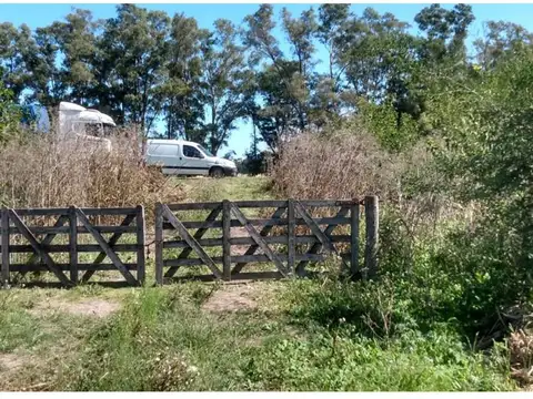 Ruta N°6
