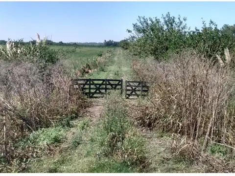 Campo - Marcos Paz