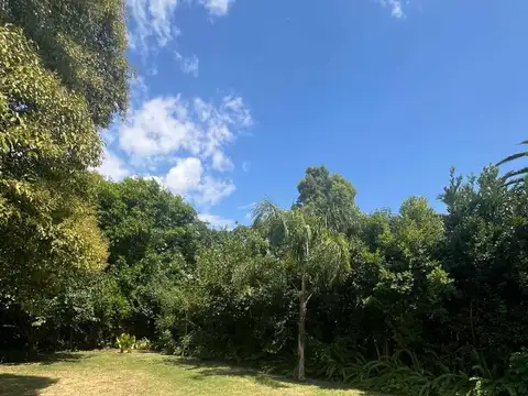 Héctor Basaldua 100