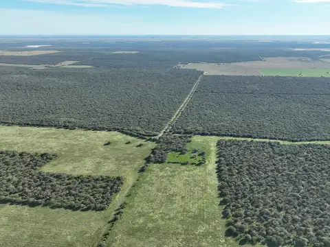 Campo Mixto s/ Ruta en Alpachiri, La Pampa