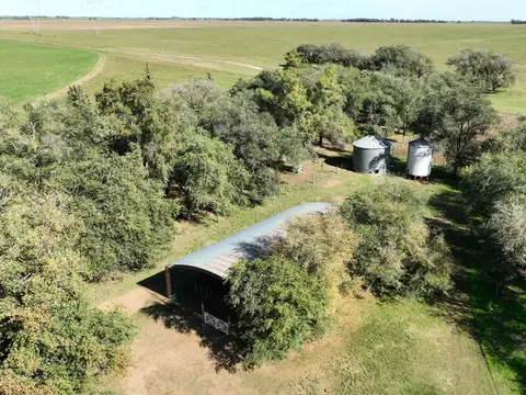 Campo Mixto s/ Ruta en Alpachiri, La Pampa