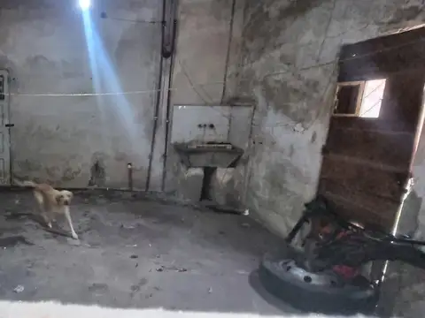 Belisario Roldán 1000